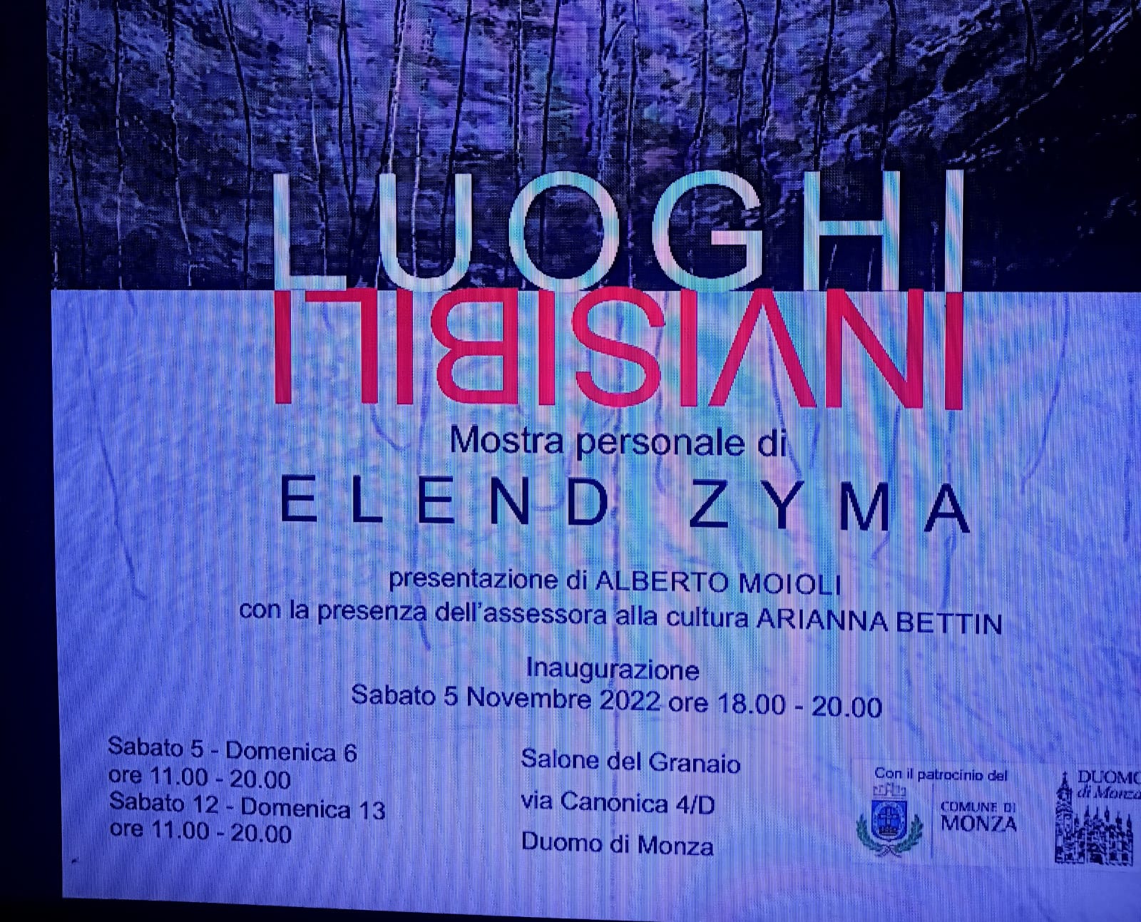 Articolo nr. 205