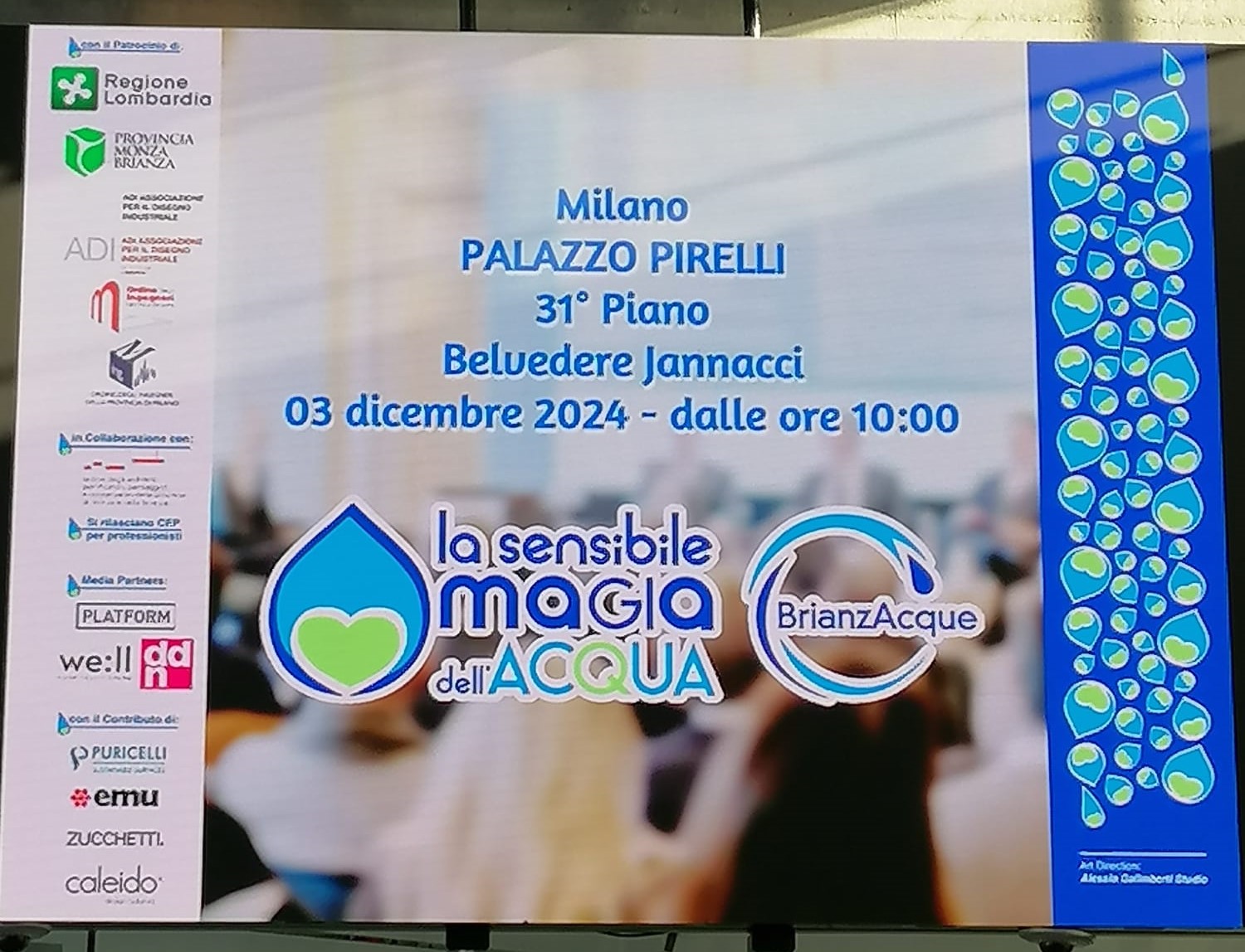 Articolo nr. 246