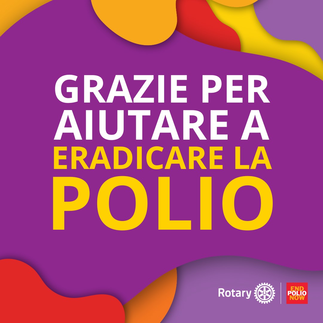 Notizia principale